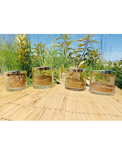 Intelezi to chase bad spirit, opening good connection and communication